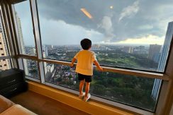 0d0af8be69b9d5a8f1a7a54dfb8260fa