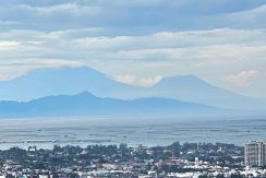 e69363e486ba4ec6b25d2cc50dddc733