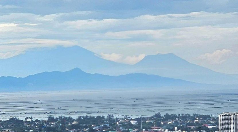 e69363e486ba4ec6b25d2cc50dddc733