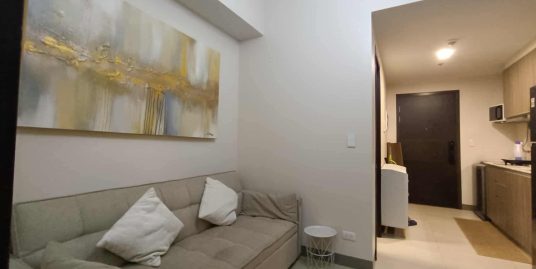 1-Bedroom Condo for Rent in Park McKinley West Taguig City