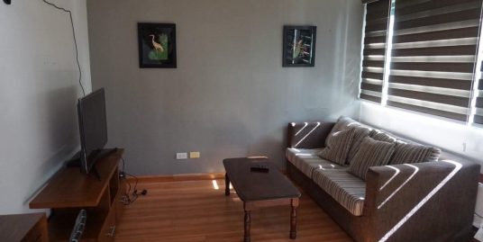 2-Bedroom Condo for Rent in McKinley Park Residences BGC Taguig City