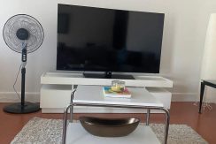 13f03b687c0b34961441b32e63ae6580